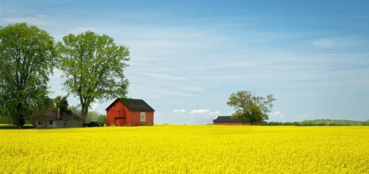 Canada–China trade partnership signals new momentum for agri-food, clean energy, and sustainable aviation fuel 